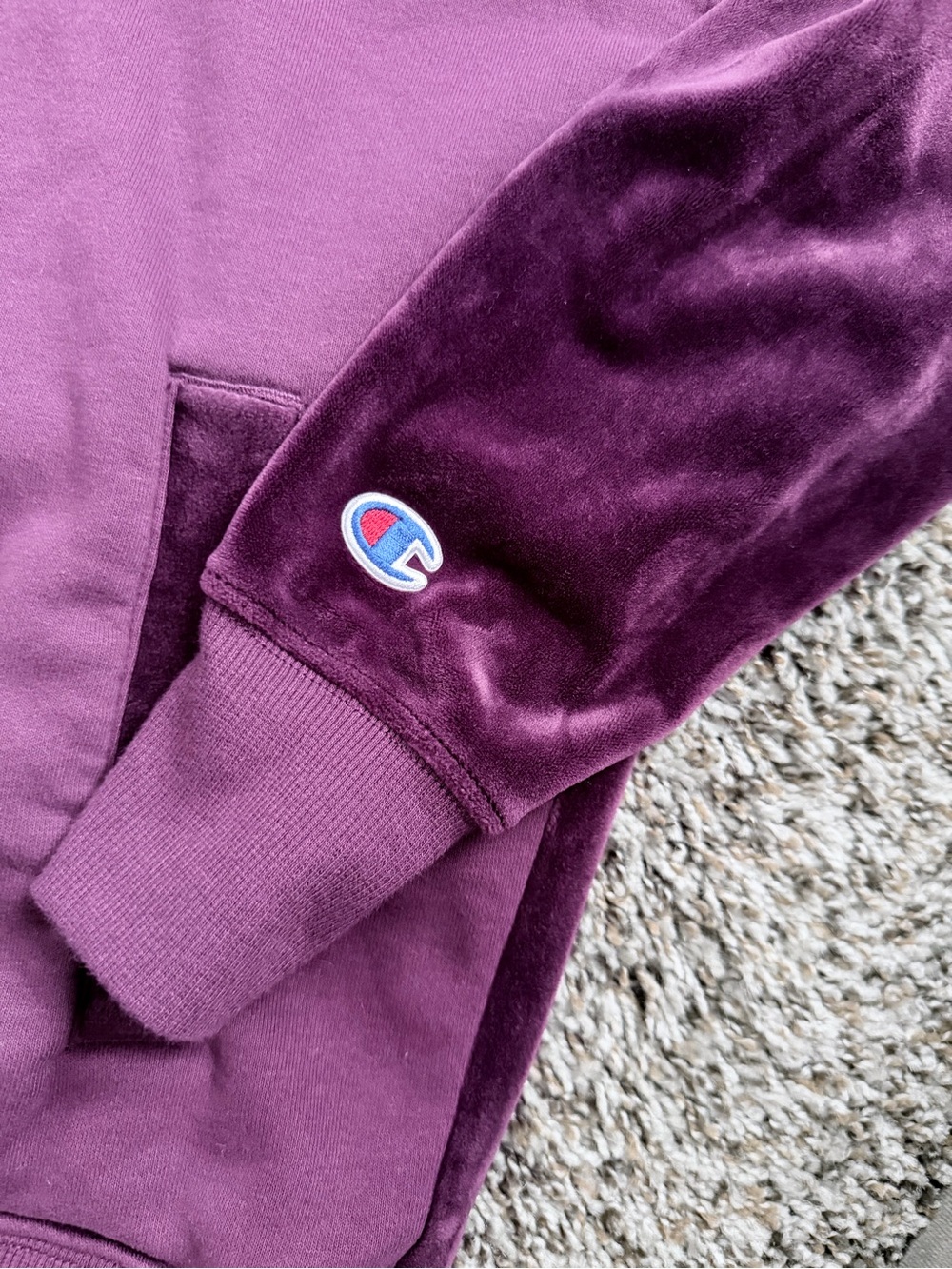 Champion Plum Velour Hoodie in Deep Purple - Picture 2 of 3